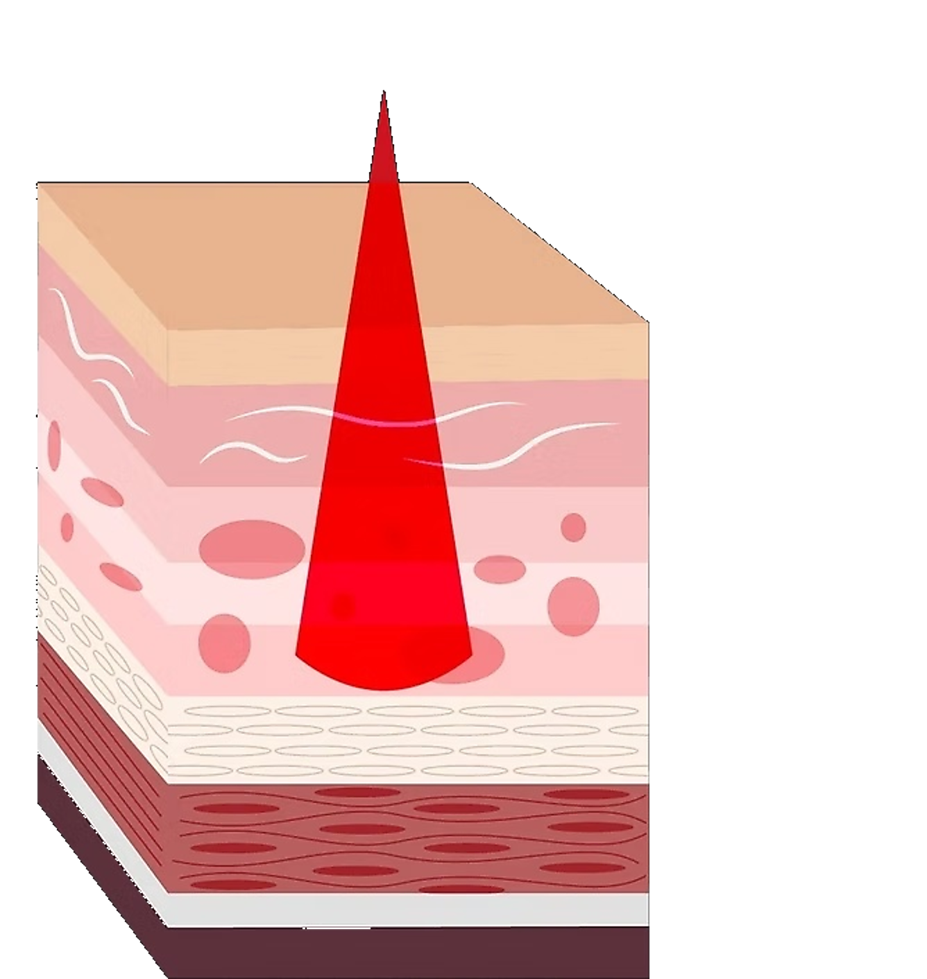 Diagram showing red light reaching deeper into layers of skin